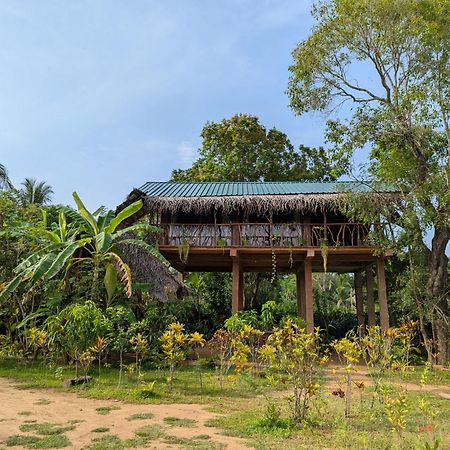 Sigiriya Rock View Tree House Villa Exteriör bild