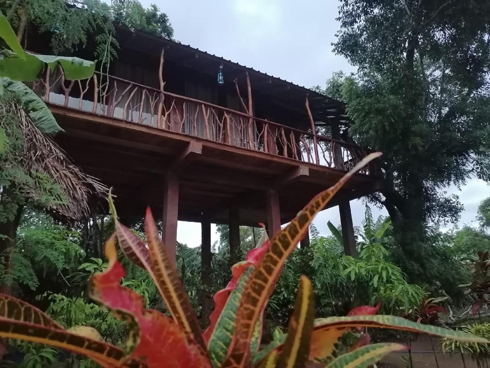 Sigiriya Rock View Tree House Villa Exteriör bild