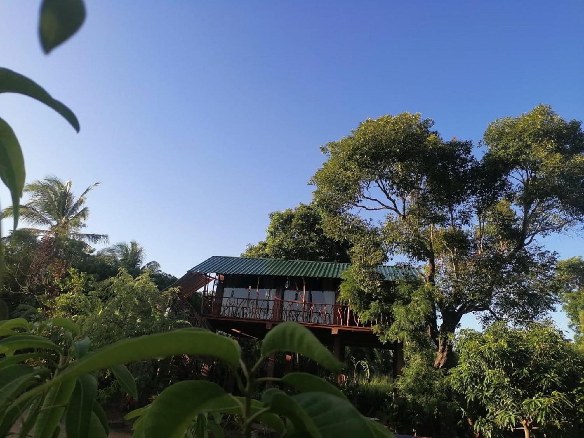 Sigiriya Rock View Tree House Villa Exteriör bild