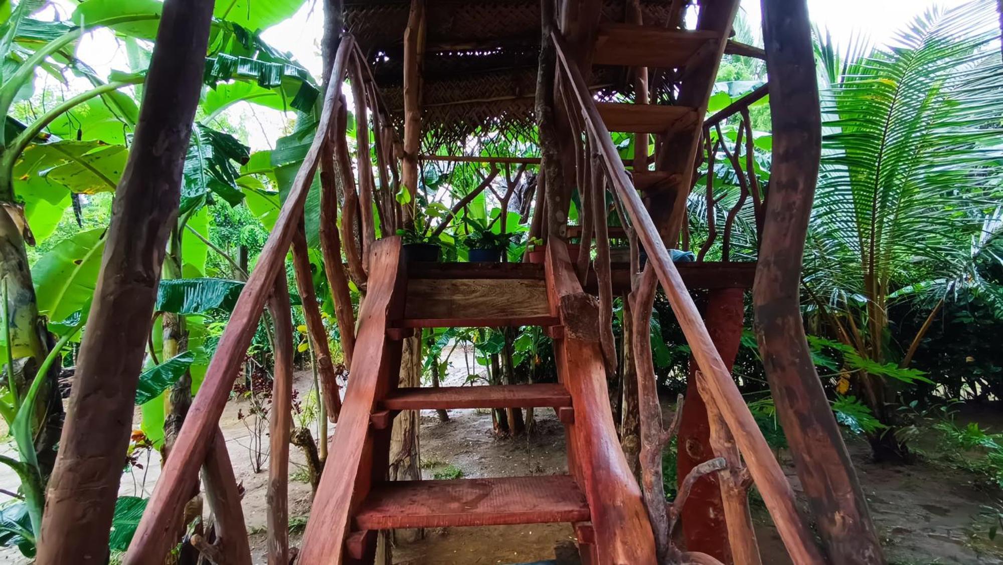 Sigiriya Rock View Tree House Villa Exteriör bild