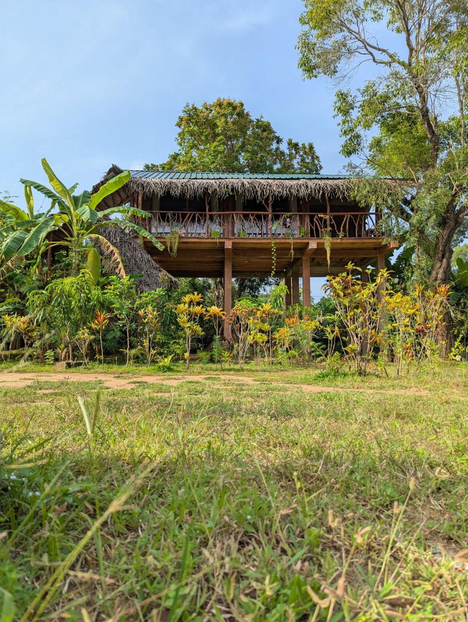 Sigiriya Rock View Tree House Villa Exteriör bild